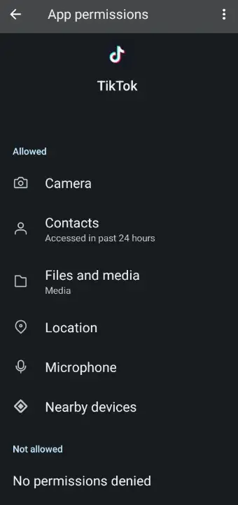 TikTok Liked Videos Not Showing or Updating - check app permissions