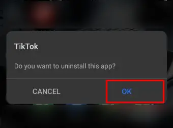 TikTok Liked Videos Not Showing or Updating - reinstall TikTok