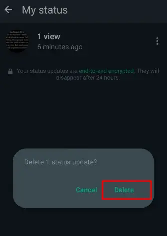 How to Delete WhatsApp Status Before 24 Hours (iPhone)