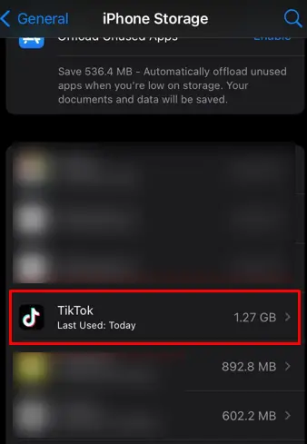 How to Fix TikTok GIFs Not Working - clear cache iOS