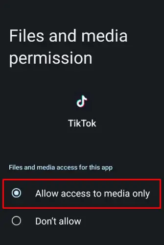 How to Fix TikTok GIFs Not Working - allow TikTok storage permission 