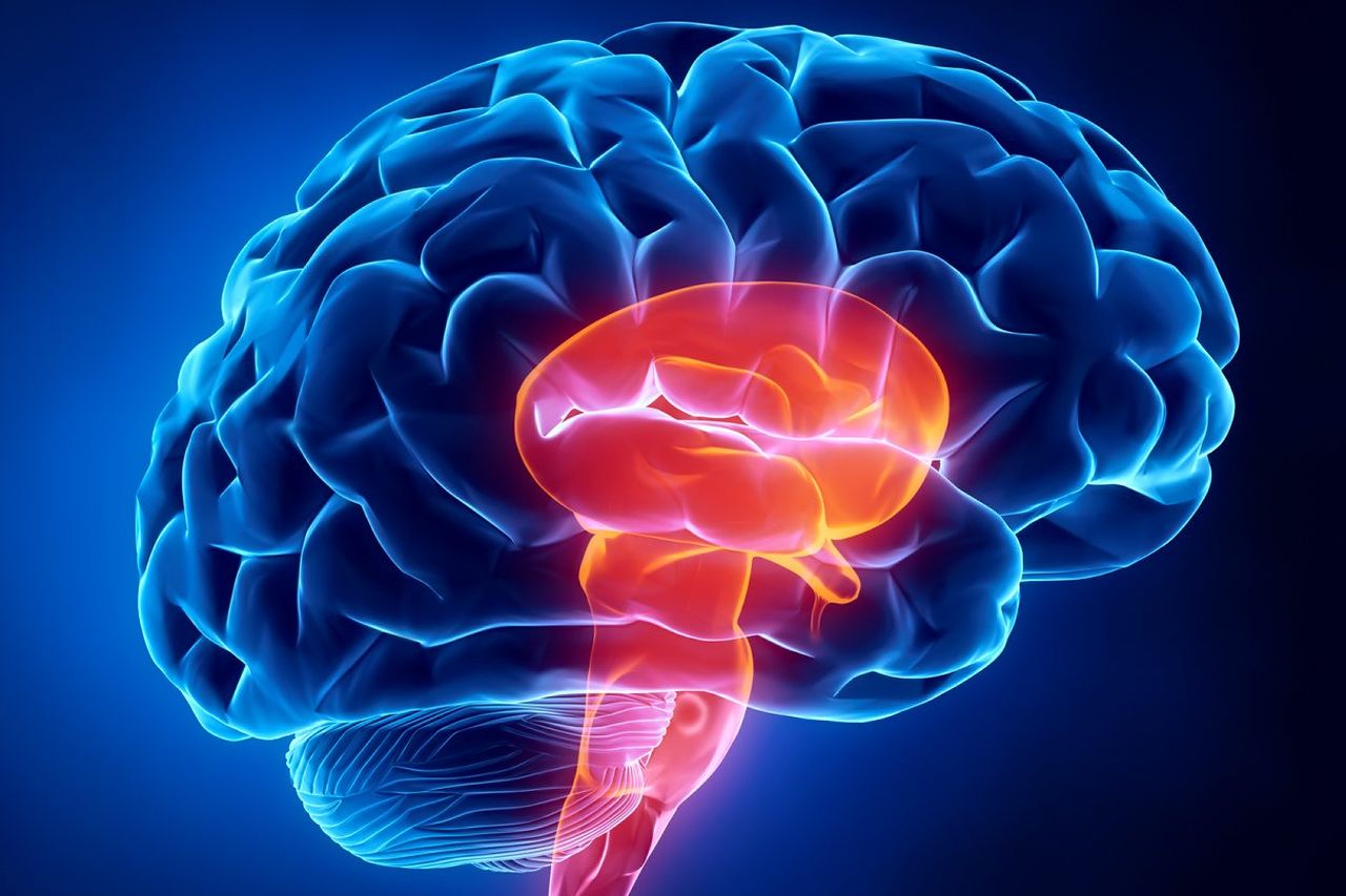 BRAIN HEALTH - cover