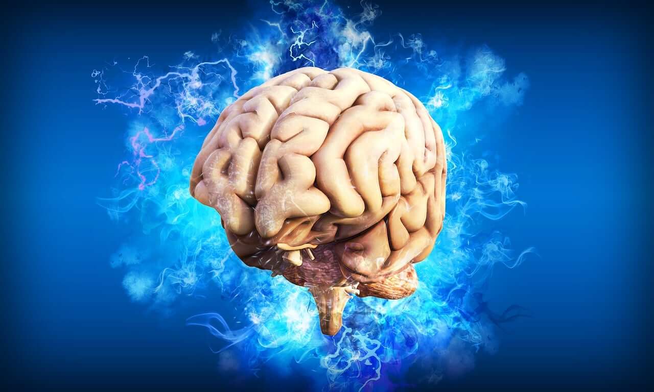 Neuroscience says chronic sleep deprivation leads to cognitive decline