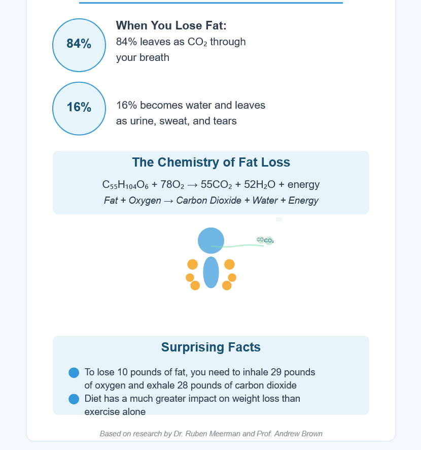 We breathe out our fat when we lose weight. Here's how it works 2 fat loss through breathing