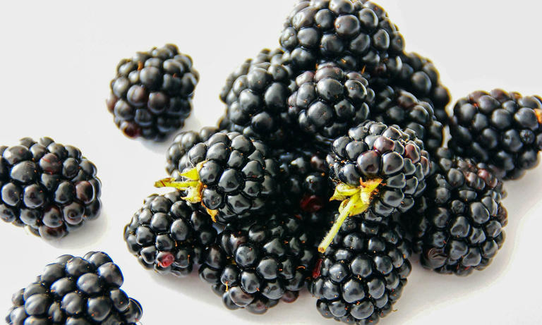Top 5 protein-rich fruits to enhance your diet