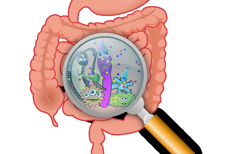 gutbacteria
